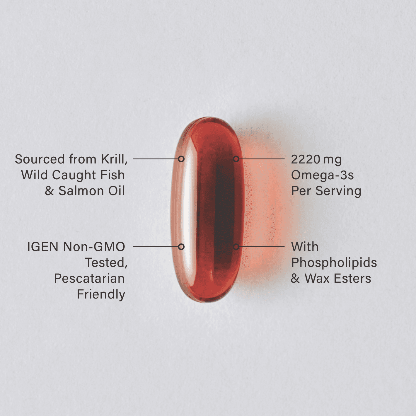 A single Sports Research Total Omega-3 softgel infographic.