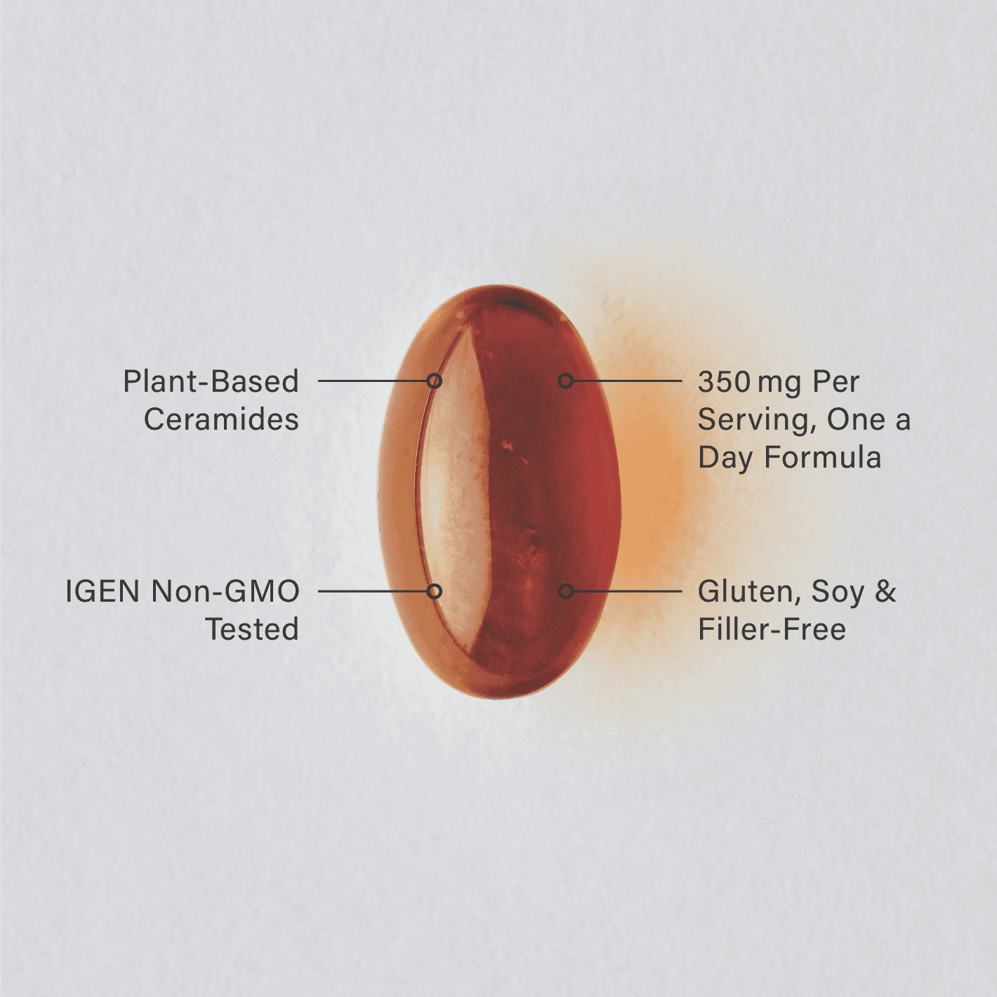 A single Sports Research Phytoceramides softgel infographic.