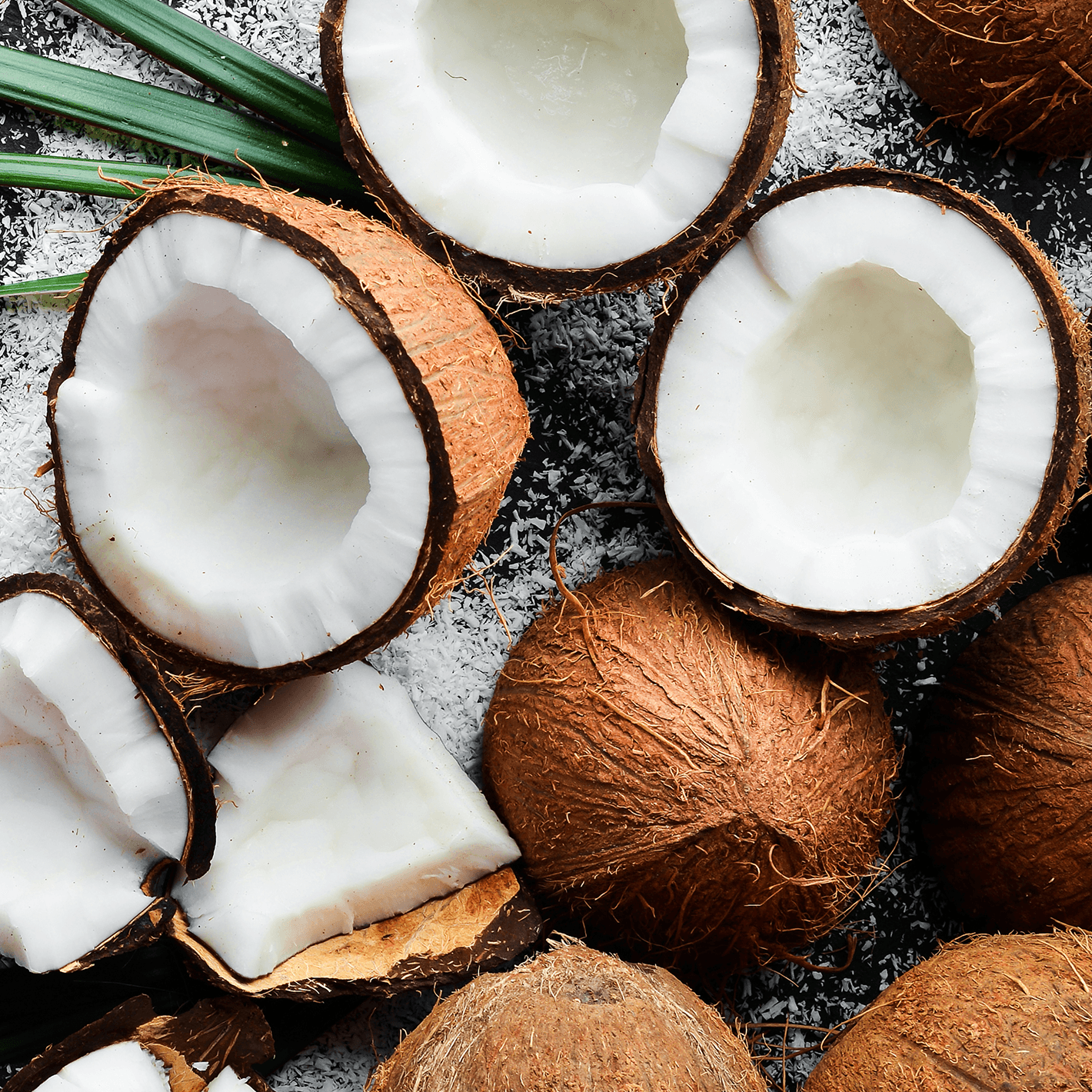 Numerous coconuts broken open and in half.